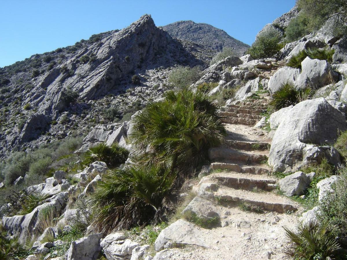El Molino Del Panadero
